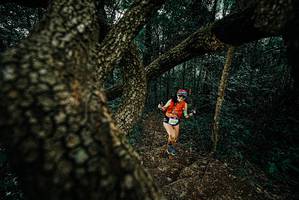 BIB: 
                            <button type="button" onclick="openModal(25695604)" class="btn btn-primary btn-sm float-right btn-popup" data-toggle="modal" data-target=".modal-high-quality">
                        <i class="fas fa-shopping-cart"></i> Add to Cart
                    </button>
                                            <button type="button" onclick="isThisMe(25695604, true)" class="btn btn-success btn-sm float-right btn-popup btn-isme hidden" data-toggle="tooltip" data-placement="bottom" title="นี่คือรูปของคุณใช่ไหม คลิกที่นี่เพื่อเอาเข้าอัลบั้ม">
                        <i class="fas fa-plus"></i> Add to album
                    </button>
                    <button type="button" onclick="isThisMe(25695604, false)" class="btn btn-warning btn-sm float-right btn-popup btn-isnotme hidden">
                        <i class="fas fa-ban"></i> Remove from album
                    </button>